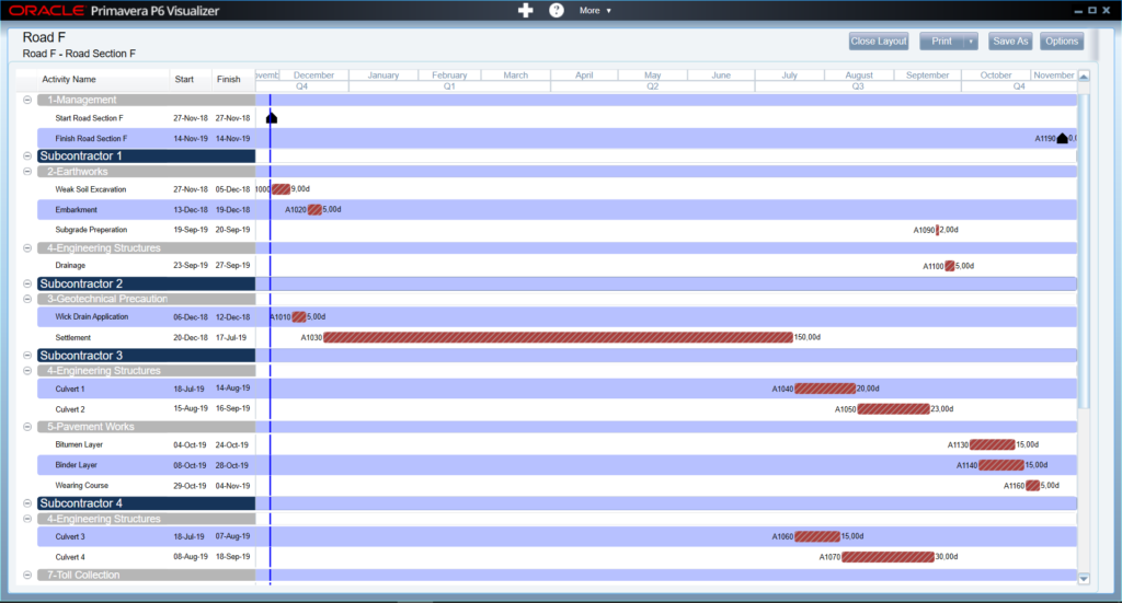 Visualizer: An extraordinary view embedded in P6 - Primaned Academy